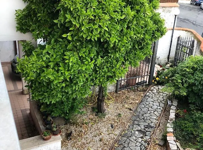 San Liborio فندق مبيت وإفطار شيفيتافيكْيا